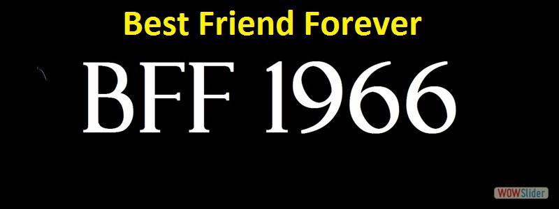 BFF 1966
